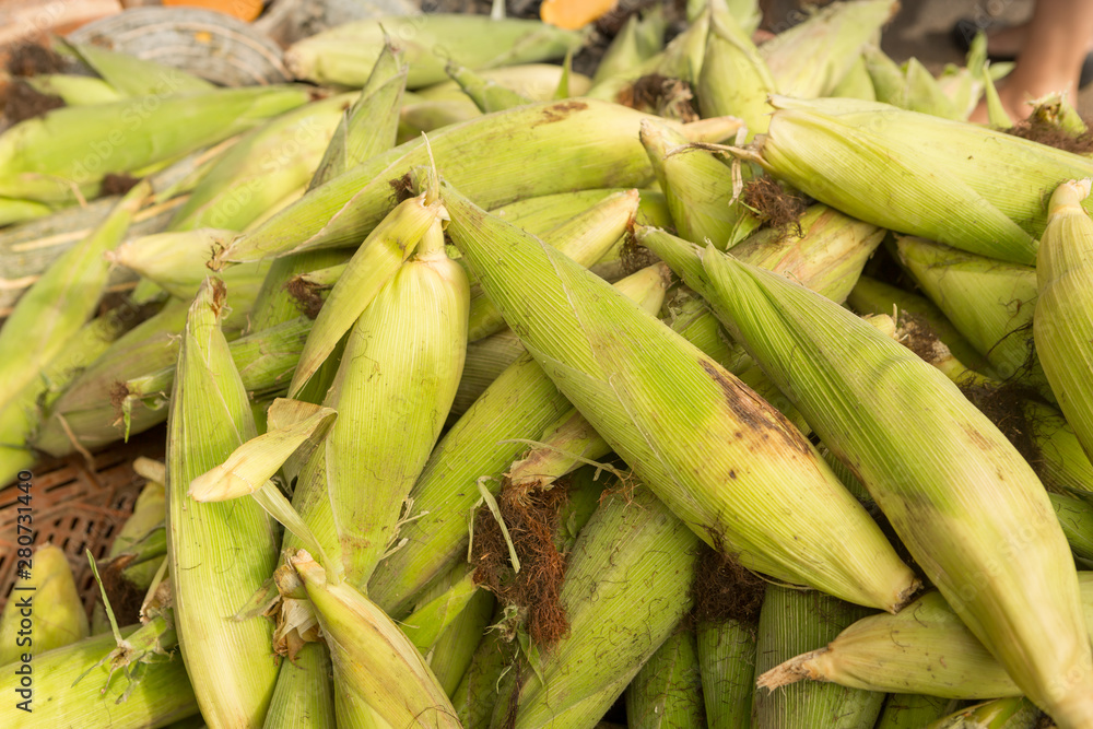 Close-up of corncob at a public market Close-up of corncob at a public market