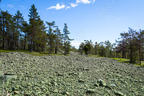 Field with cobbled stones in Sweden, also known as Klappenstenfäll, sorted by size and transported with glacier ice in the ice age.  photo