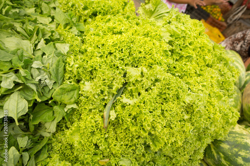 Bilde på lerret Close-up of creole lettuce at a public market