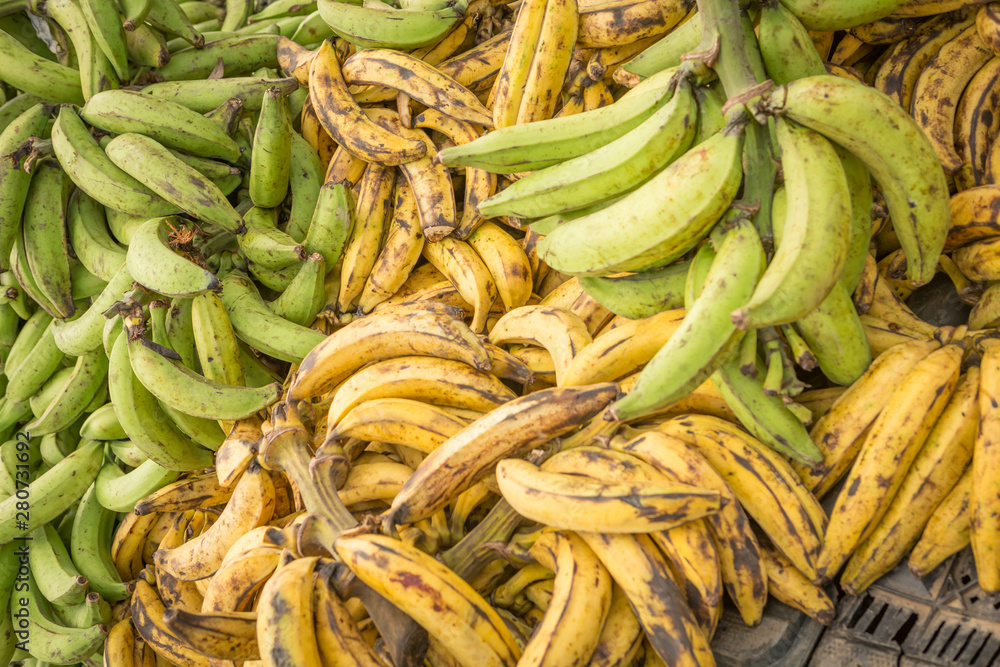 Close-up of platains or cooking bananas at a public market Close-up of platains or cooking bananas at a public market
