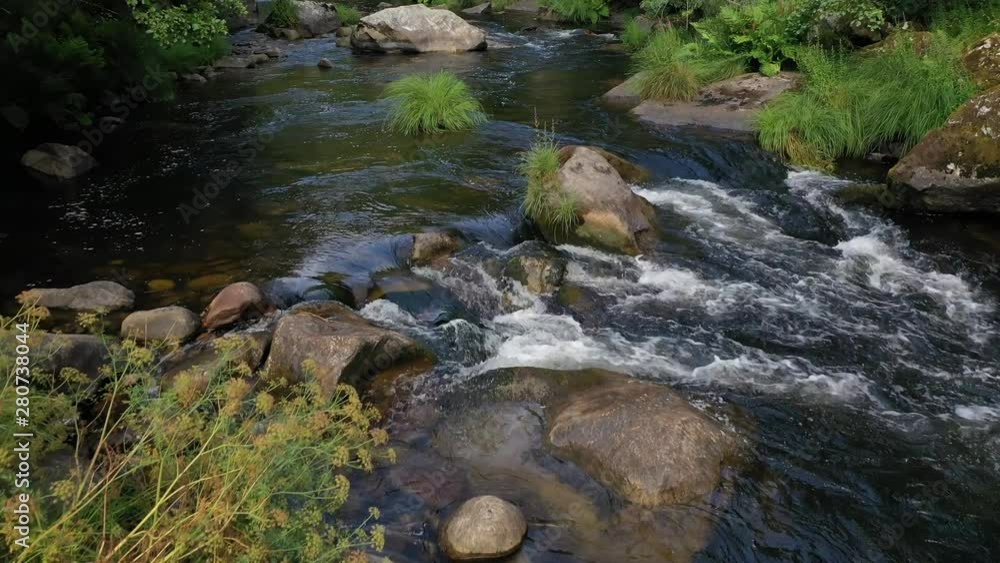 beautiful mountain river in the forest beautiful mountain river in the forest