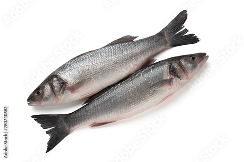 Two Sea bass fish isolated on white background