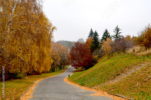 The road in the autumn city park. Trees with yellow and red leaves. On the ground, fallen leaves create a multi-colored carpet