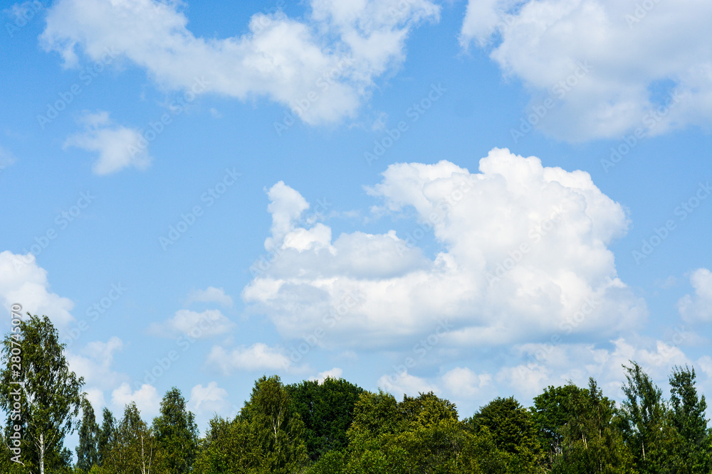 Blue sky and clouds above the trees