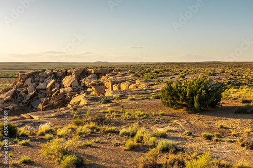 Petrified Forest National Park Landscape