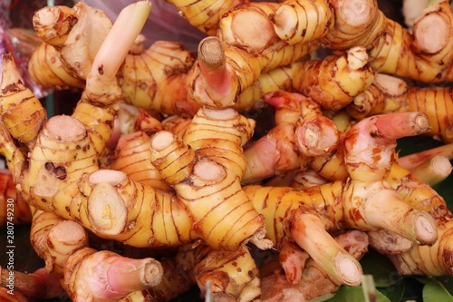 Fresh galangal for cooking in the market