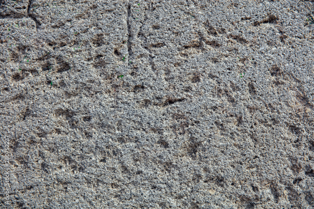 Texture of the coarse grey granular wall Texture of the coarse grey granular wall