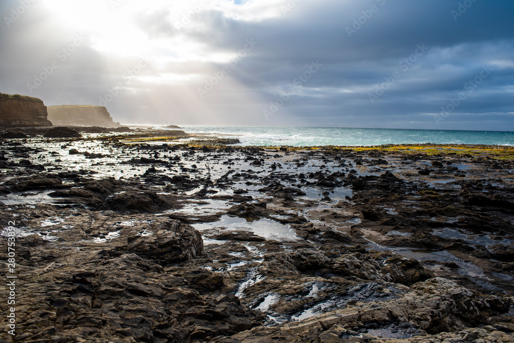 Obraz premium Landscape view of Curio Bay, on the South Island, New Zealand