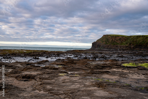 Landscape view of Curio Bay, on the South Island, New Zealand