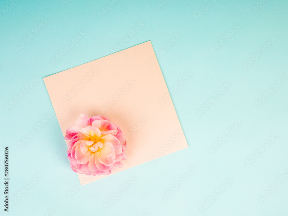 tulips on a blue textural background with a letter envelope. Flat lay, copy space, top view. Flowers composition. tulips on a blue textural background with a letter envelope. Flat lay, copy space, top view. Flowers composition.