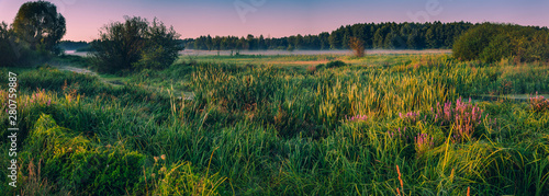 Morning nature in sunlight and dew