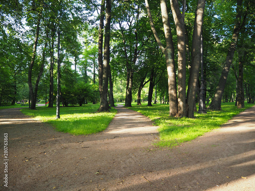 Three way foot path in the park. Landscape of sunny summer forest with crossroad. Making decisions and making choices concept.