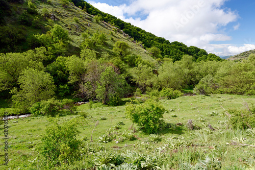 Naturlandschaft auf dem Varnous, im Nationalpark Prespa, Griechenland photo