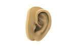 3d rendering of a human ear isolated in white studio background