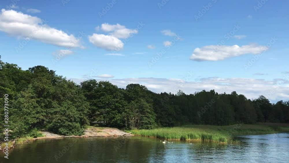 Walking day in forest. Trees branches, green grass, blue sky and freshness air. Beautiful summer nature. Walking day in forest. Trees branches, green grass, blue sky and freshness air. Beautiful summer nature.