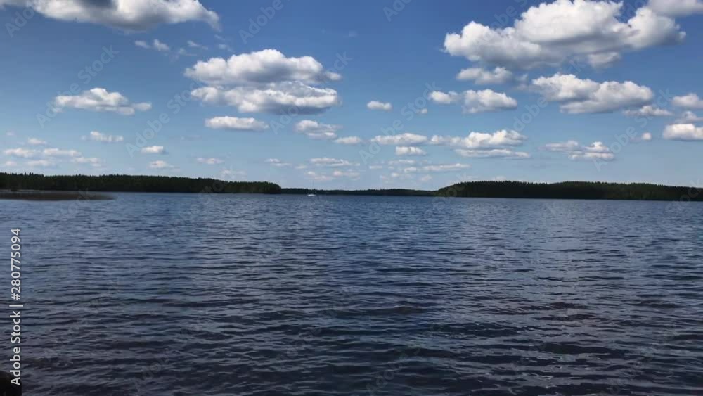 Beautiful view of summer lake in forest. Duck and birds walk and swim near with beach. Sunset, sunrise and daylight.