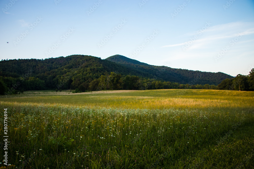 Colorful wildflower meadow with mountains and rolling hills in the background. Taken at sunset