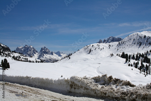 Wallpaper Mural sentiero sulla neve Torontodigital.ca