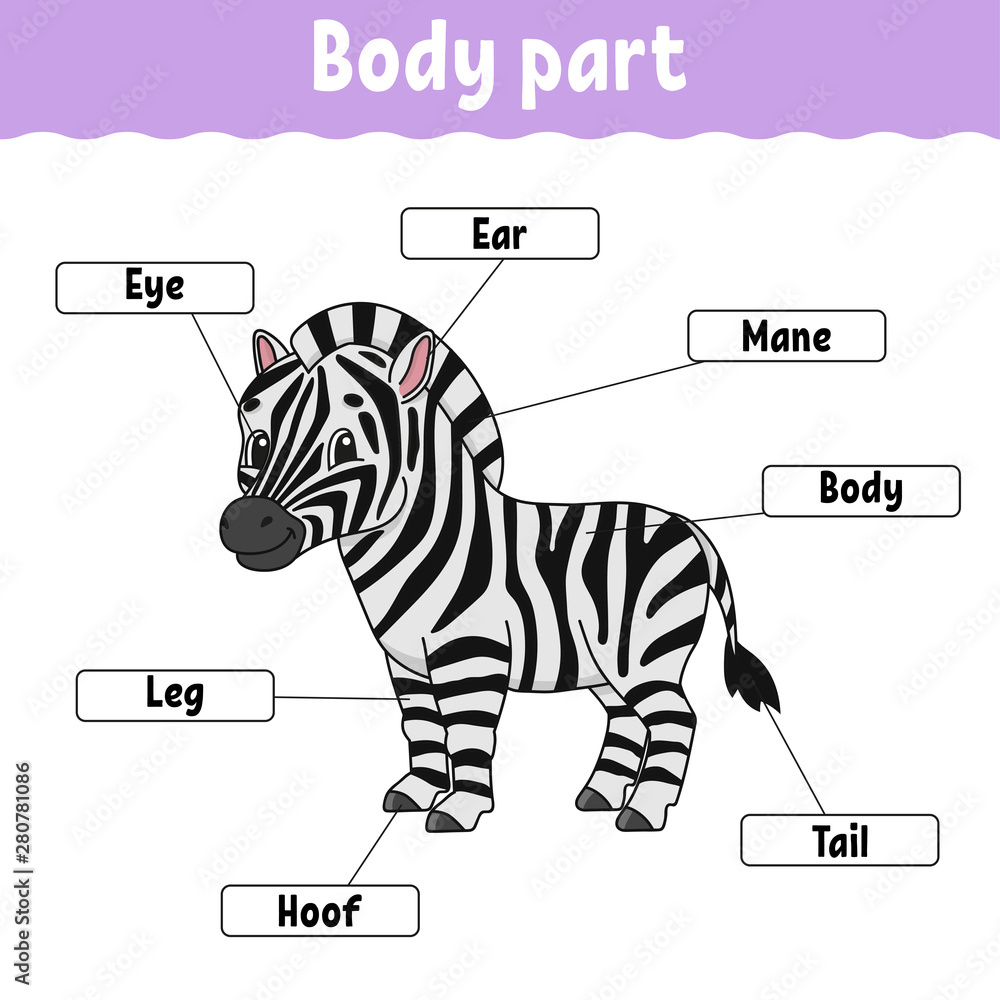 Body part. Learning words. Education developing worksheet. Activity