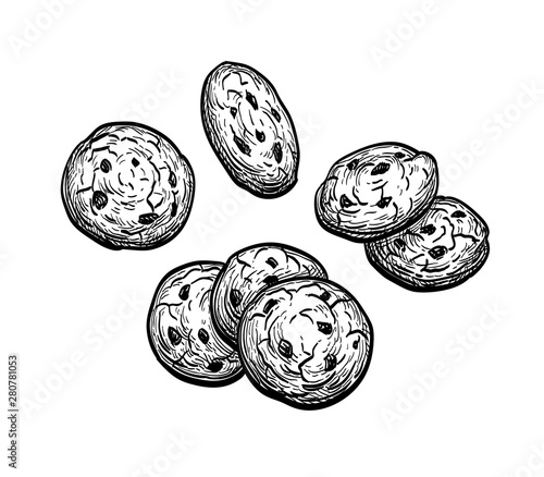 Ink sketch of chocolate chip cookie
