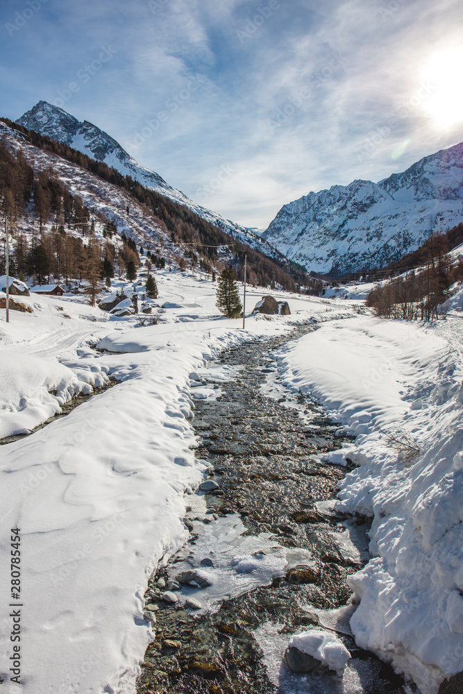 custom made wallpaper toronto digitalArolla