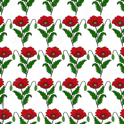 Floral seamless pattern of poppies. Vector illustration of hand drawing