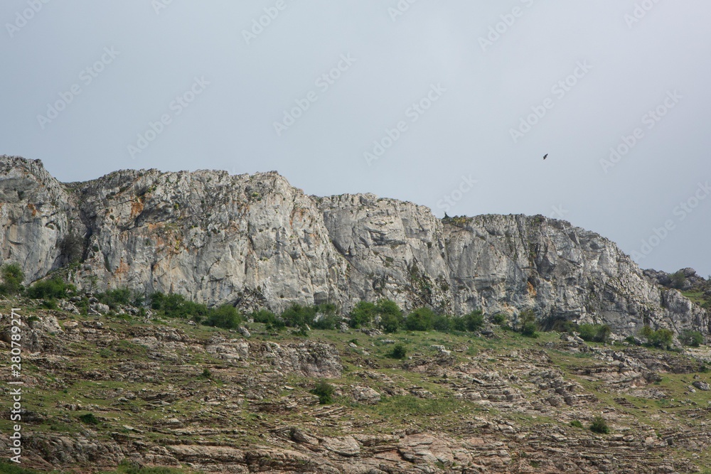 Fototapeta premium Bird flying next to a mountain