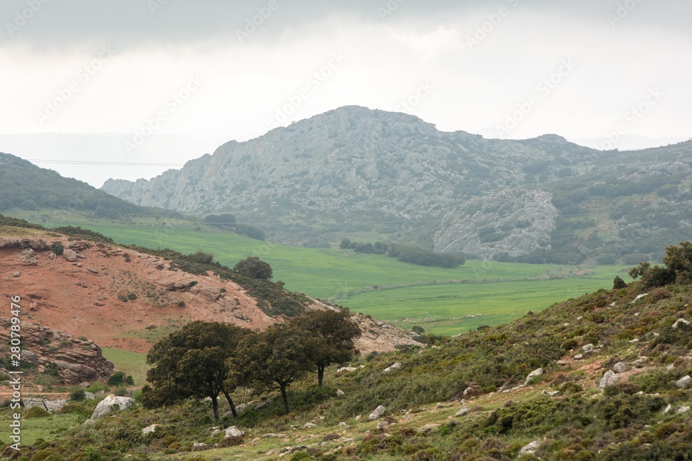 Obraz premium Spanish landscape with hill and trees