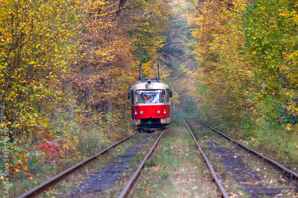 Φωτογραφία Red tram traveling in the tunnel of autumn trees. Kiev, Ukraine