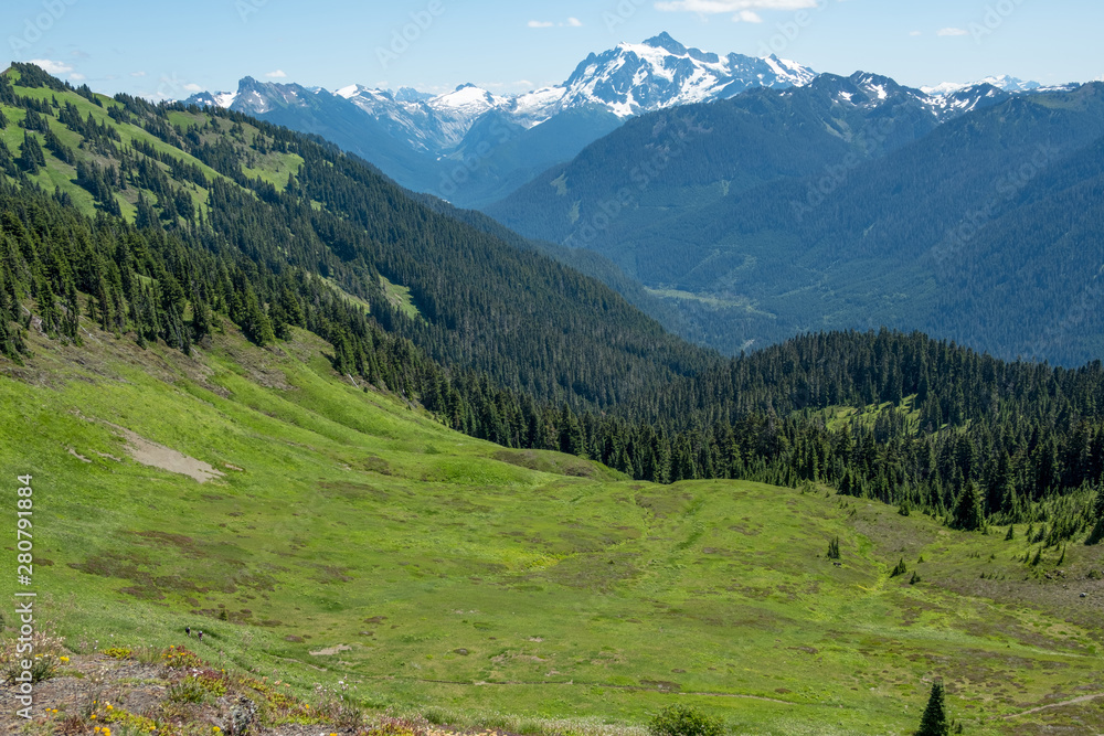 Mount Shuksan from High Divide, green meadows and ridges, Washington