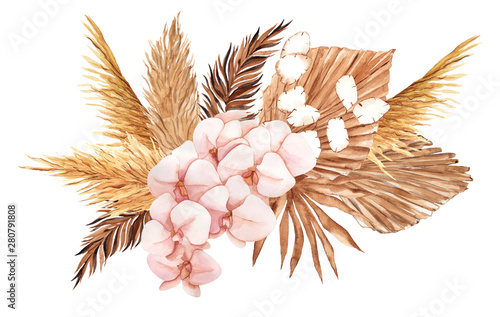 Bouquet with pampas grass, watercolor hand draw floral element in boho style, isolated on white background photo