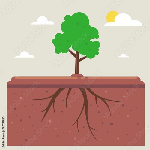 tree roots under the ground. wildlife landscape