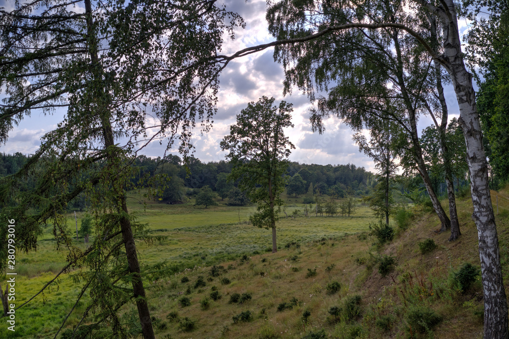 Klevads mose located in Egedal on Zealand in Denmark shoot in HDR Klevads mose located in Egedal on Zealand in Denmark shoot in HDR