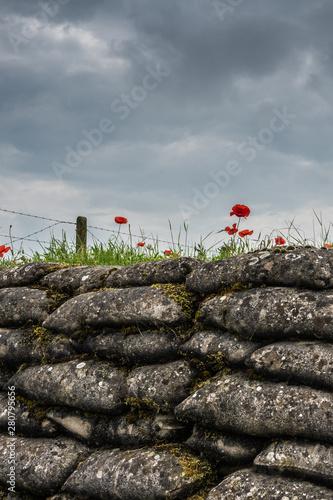 Vászonkép Diksmuide, Flanders, Belgium -  June 19, 2019: Historic WW1 Trenches, called Dodengang along IJzer River, shows gray-brown stone-hard sandbags, green grass, red poppies
