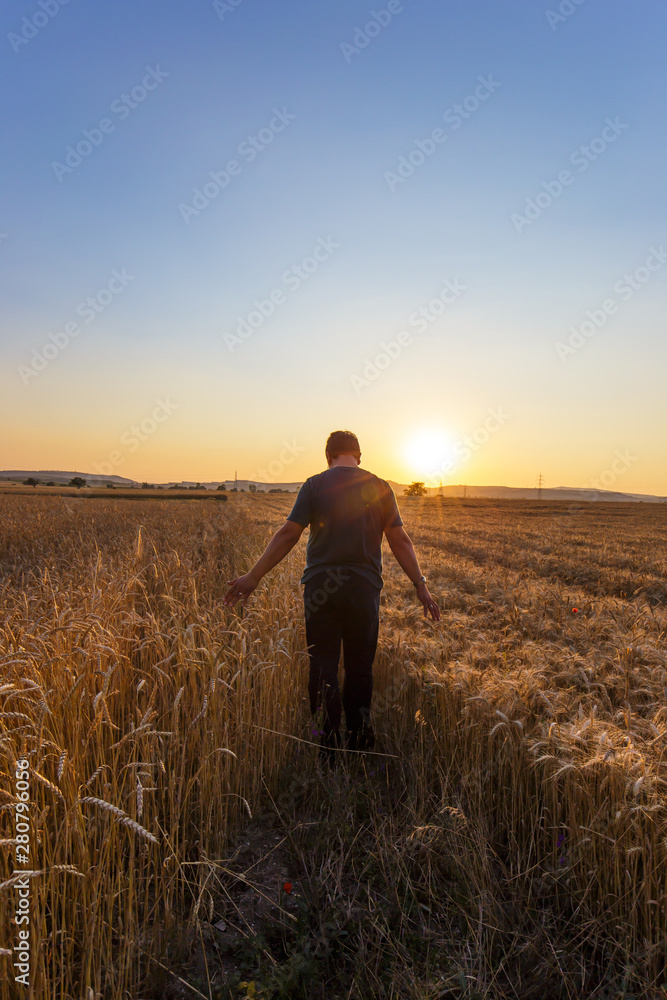 Farmer in a field of wheat at sunset