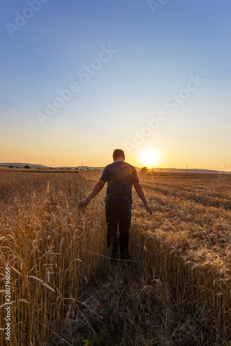 Farmer in a field of wheat at sunset