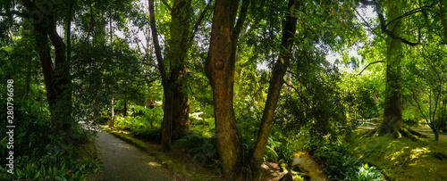 Terra Nostra Park in the Azores is a large botanical garden with a huge variety of plants and trees and with lakes, streams and a pool of volcanic origin.