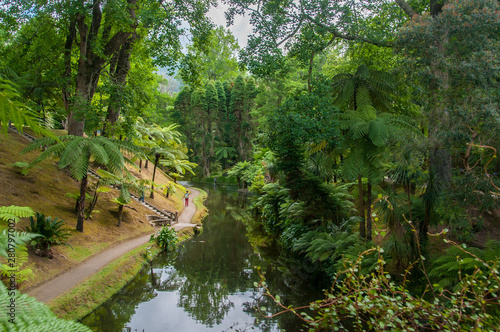 Terra Nostra Park in the Azores is a large botanical garden with a huge variety of plants and trees and with lakes  streams and a pool of volcanic origin.