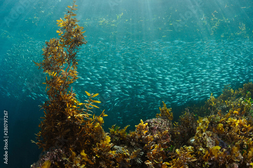 underwater river