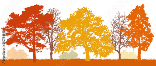 Trees in autumn silhouette. Autumn park. Vector illustration.