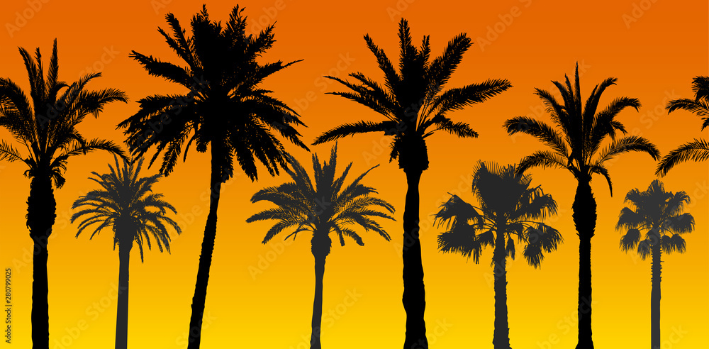 Seamless pattern of palm trees silhouettes at sunrise, vector illustration
