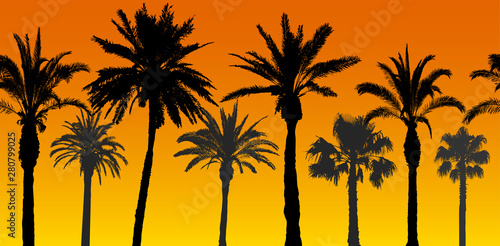 Seamless pattern of palm trees silhouettes at sunrise, vector illustration