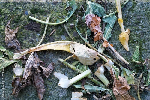 leaves and vegetables