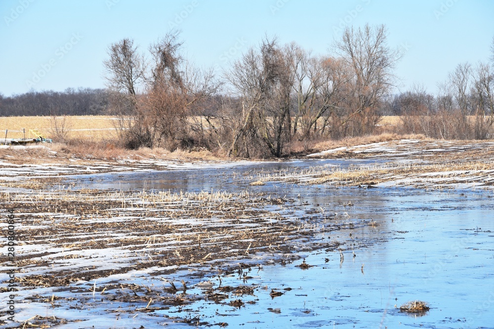 Flooded Field Flooded Field