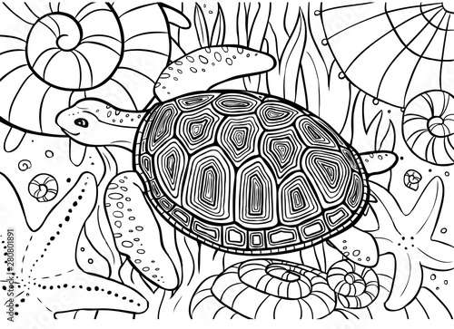 Turtle swim, coloring page with shells, starfish and seaweed