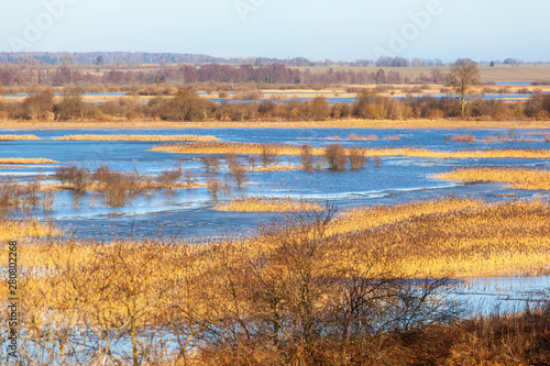 Fototapeta Naklejka Na Ścianę i Meble -  scenic landscape with yellow grass and blue river under a clear sunny sky, autumn landscape