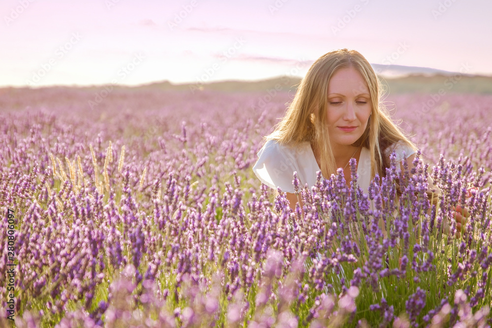 portrait of a beautiful woman smiling into purple lavender fields during a summer sunset - Image portrait of a beautiful woman smiling into purple lavender fields during a summer sunset - Image