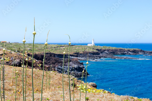 Linosa Island near Lampedusa Island Sicily Italy - Volcanic island with plants and flowers and old fisherman village. photo