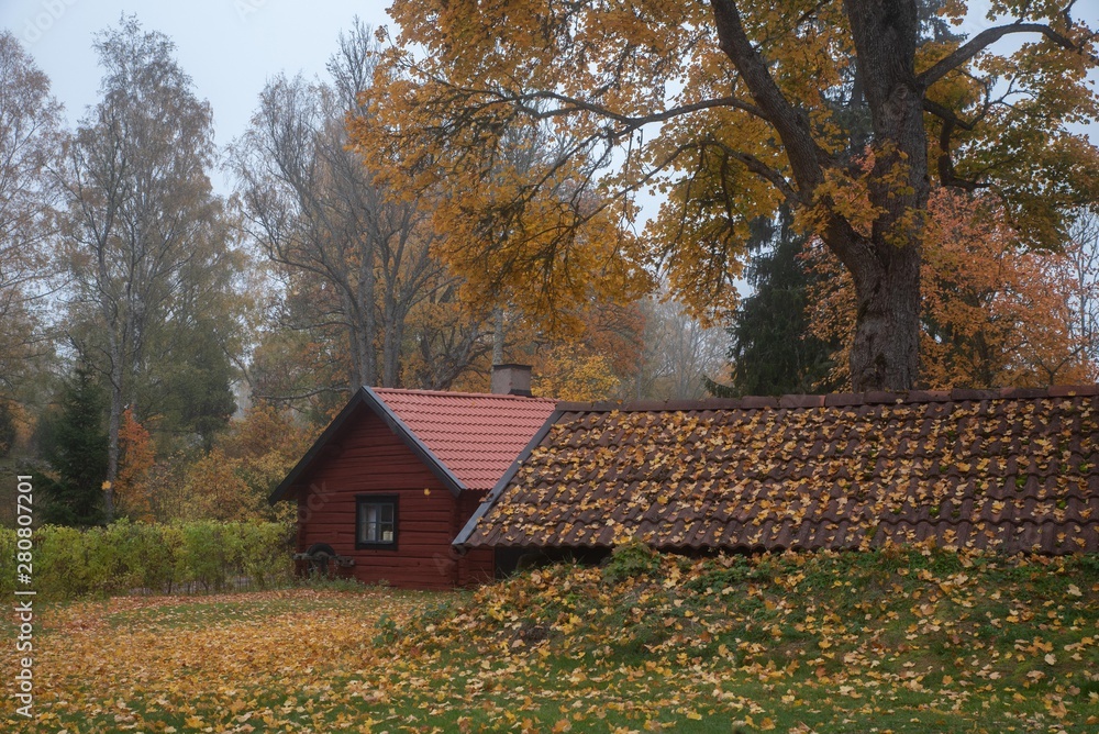 Houses a cloudy autumn day Houses a cloudy autumn day