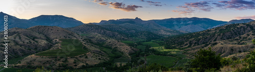 Fields of a vineyard in the mountains